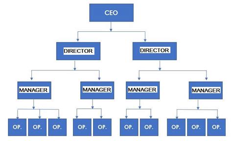 Afbeeldingsresultaten voor Basic Company Structure