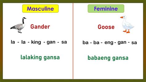 Image result for Gender Identity Definition Tagalog