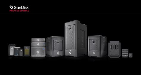 Image result for SanDisk Professional