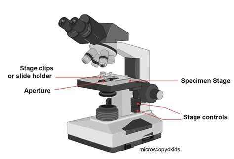 Afbeeldingsresultaten voor Navigation Knobs in a Microscope