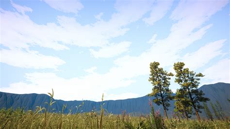 Toradh íomhá ar Basic Unity Skybox