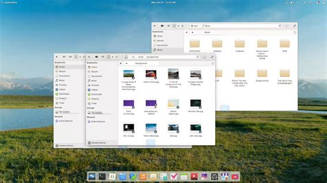 Image result for Linux Elementary Video App