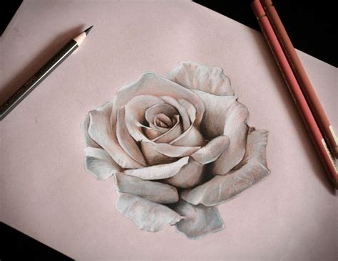 Draw a Rose Tutorial に対する画像結果