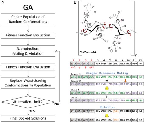 Toradh íomhá ar Genetic Algorithm Solution to Chromosome