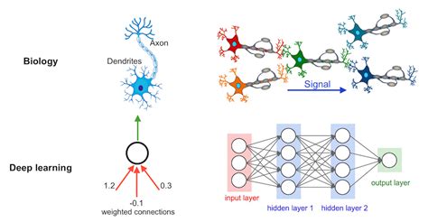 Toradh íomhá ar Neuron Connection Brain Illustration with Deep Learning