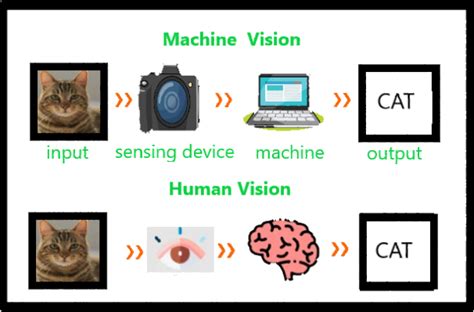 Image result for Computer Vision Workflow