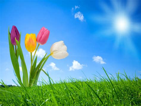 Image result for Colorful Spring Desktop Wallpaper
