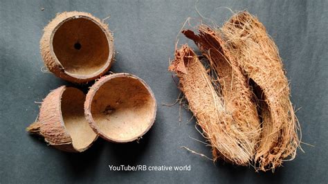 Innovative Coconut Shell に対する画像結果