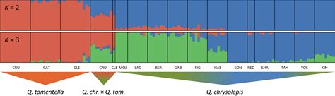 Image result for Compass 2020