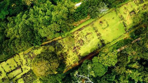 West Java Pyramid に対する画像結果