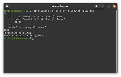 Toradh íomhá ar Bash Script for Loop Cmd