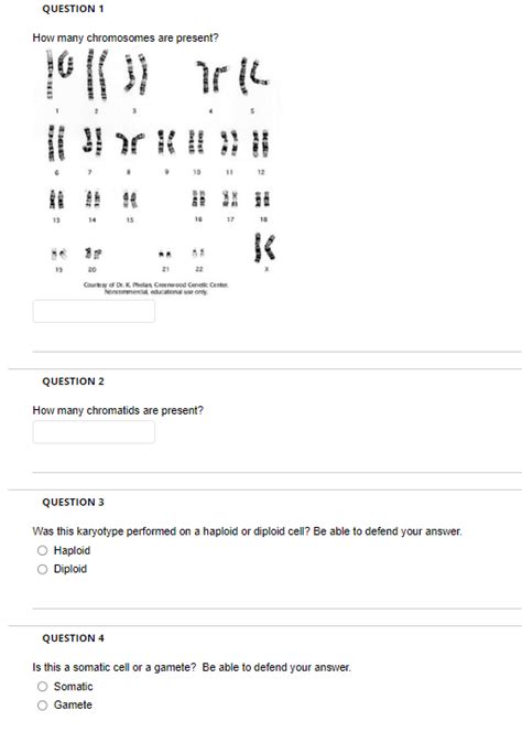 Image result for Chat Bot UI React Native