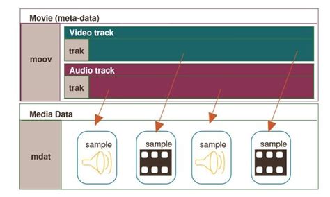 Image result for Btk87 MP4 File