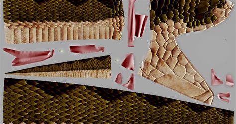 Image result for Randomized Diffuse Map