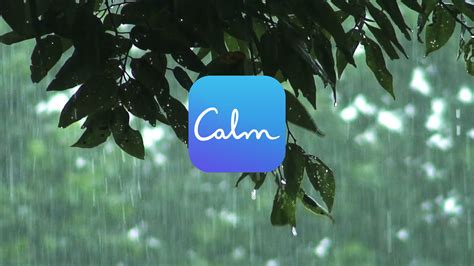 Image result for Calm Com