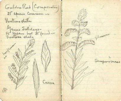 Edison Lab Notebook に対する画像結果