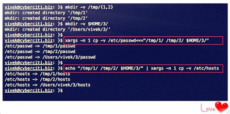 Copy File Command to Another Directoryin Linux-க்கான படிம முடிவு