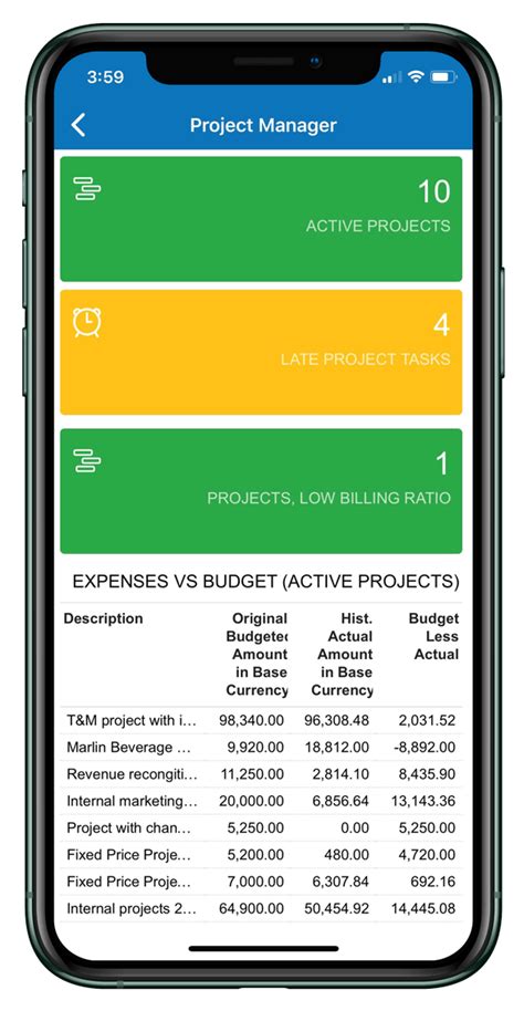 Image result for Project Accounting Software