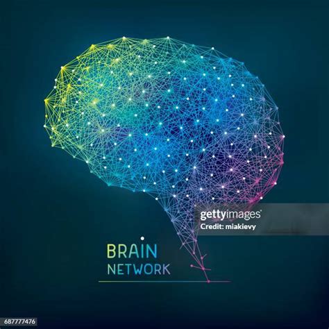 Image result for Brain Network Drawing