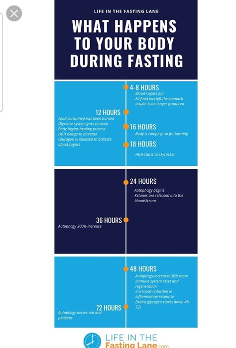 Image result for Fasting Timeline Chart