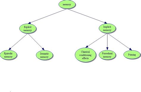 Image result for Short-Term Memory Concept Map