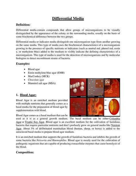 Differential Media Used in Microbiology に対する画像結果