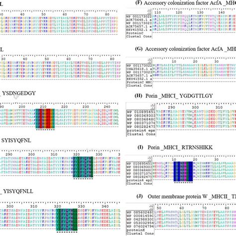 Protein Sequence Alignment に対する画像結果