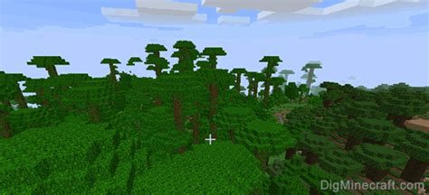 Toradh íomhá ar Jungle Seeds Minecraft Java