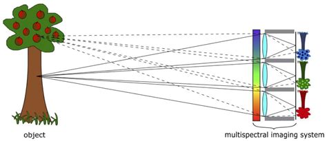 Multispectral Imaging Principle に対する画像結果