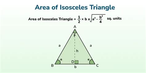 Area of a Triangle | Formula and Examples - GeeksforGeeks