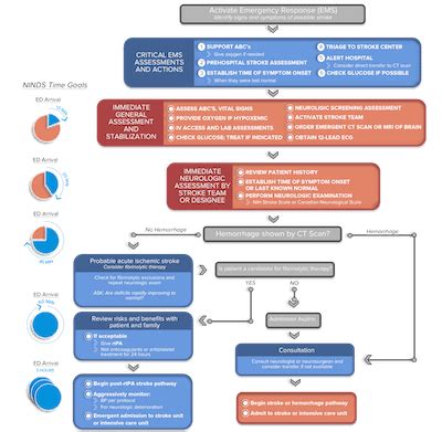 Image result for Stroke Medication Treatment Algorithm