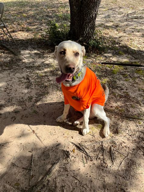 Mud Races in Milton Florida に対する画像結果