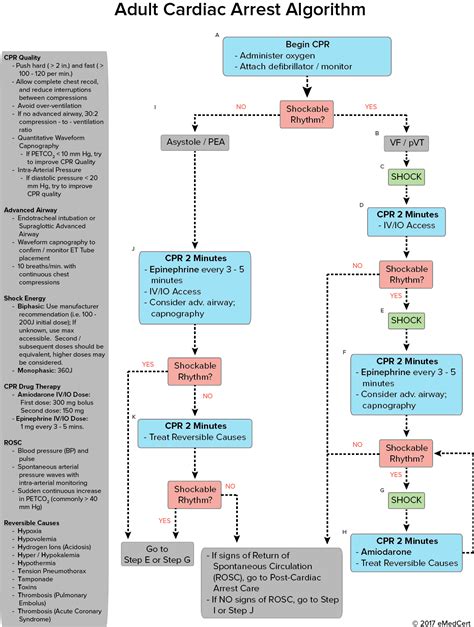 Wide Complex Tachycardia Algorithm ACLS Pulseless に対する画像結果