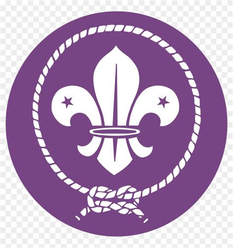 Image result for Scout Logo CSS