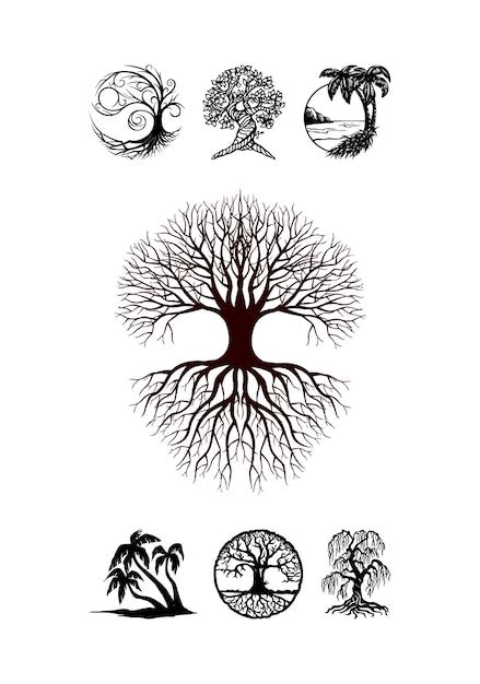 Image result for Drawing Tree of Life Designs