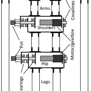 Image result for Gyminast Robot
