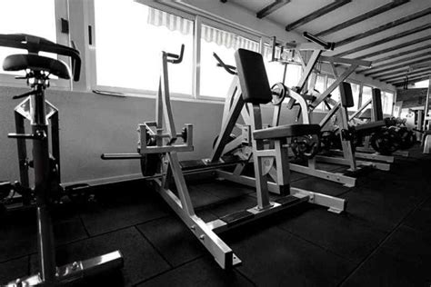 Image result for Back Muscle Machine