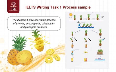 Image result for Writing Task 1