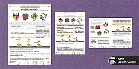 Image result for Types of Variable Display Poster