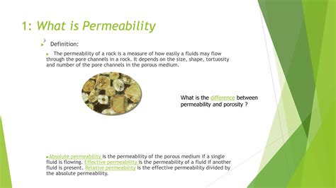 Image result for Types of Permeability