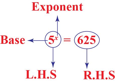 Image result for Base Exponential Equation