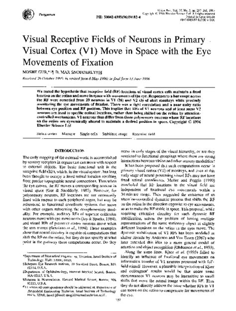 Receptive Field Primary Visual Cortex に対する画像結果