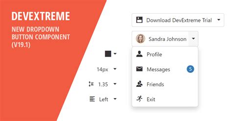 Image result for Developer Drop Down