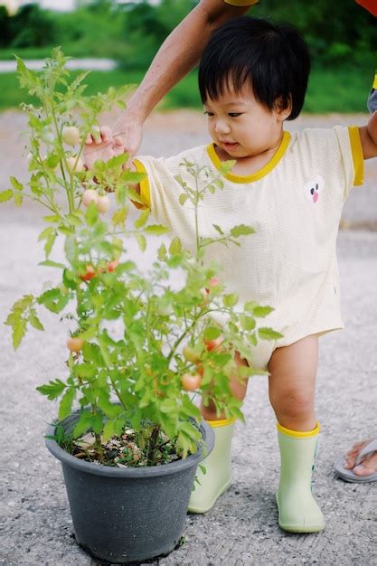 Image result for Strong Boy Plant