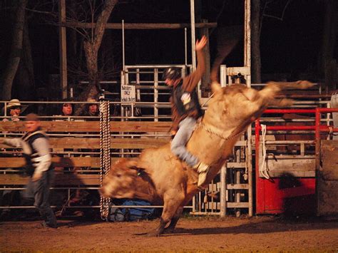 Afbeeldingsresultaten voor Bull Riding Practice
