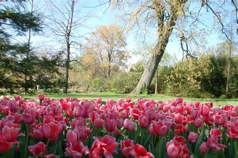 Toradh íomhá ar Build a Passive Solar Shell