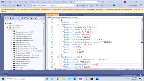 Toradh íomhá ar Angular Install NPM