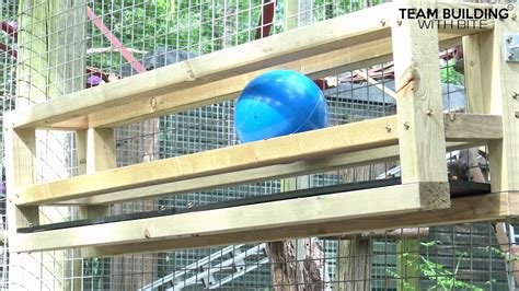 Image result for Bison Enrichment Ball