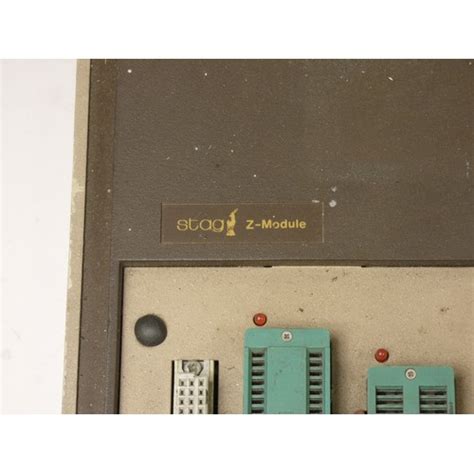 Image result for Stag Programmers