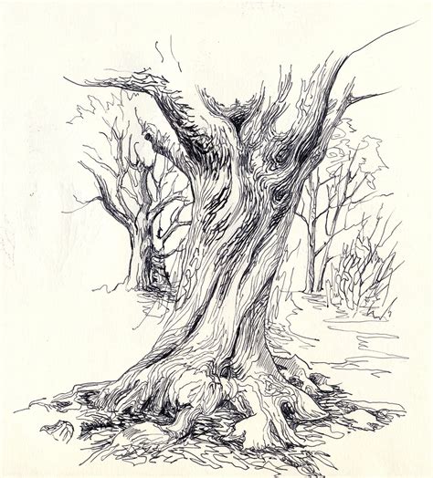 Realistic Tree Trunk Drawing に対する画像結果